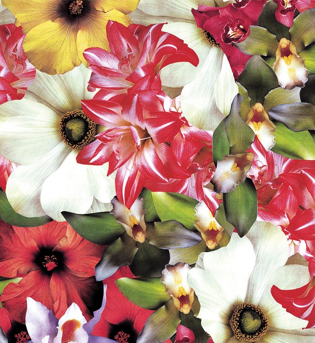 PVC Table Cloth Non - Woven - 0011