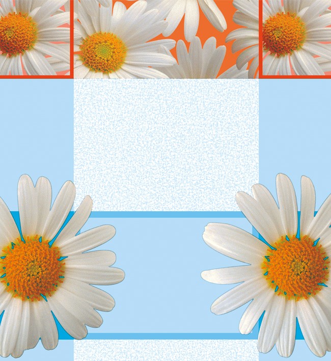 PVC Table Cloth Non - Woven - 0015