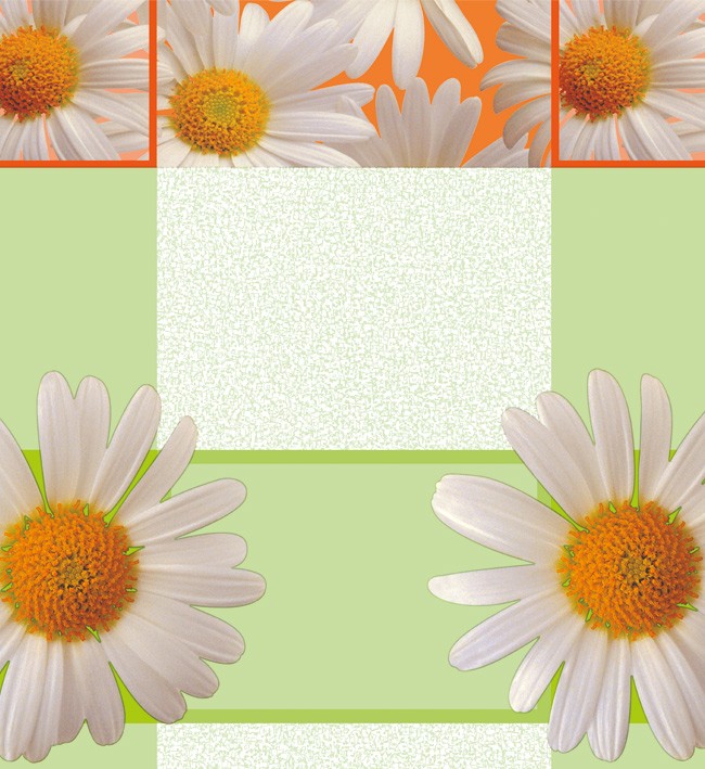 PVC Table Cloth Non - Woven - 0018