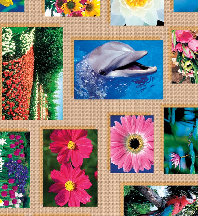 PVC Table Cloth Non - Woven - 0143