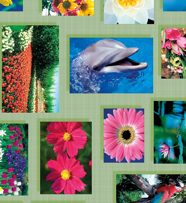 PVC Table Cloth Non - Woven - 0144