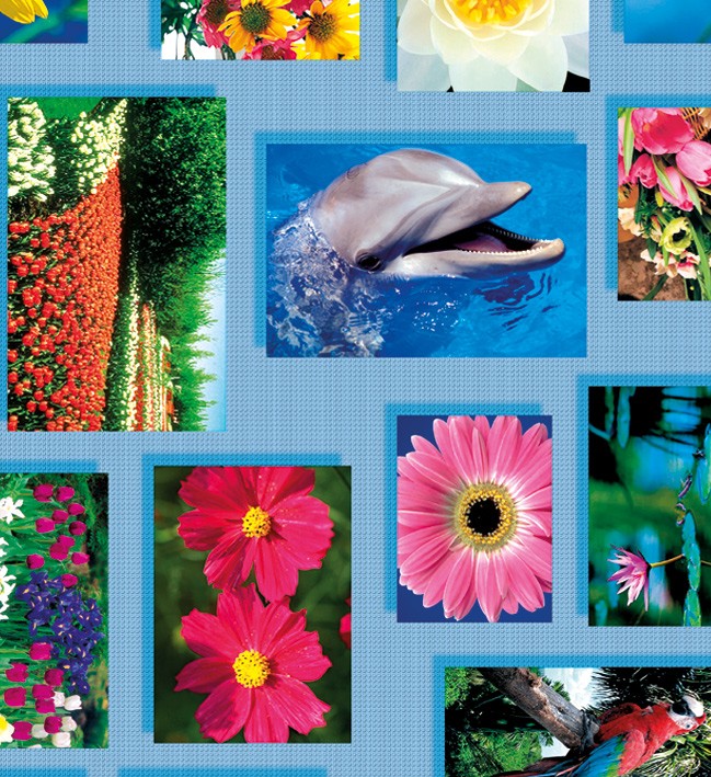 PVC Table Cloth Non - Woven - 0145