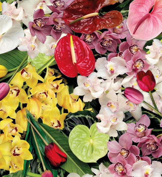 PVC Table Cloth Non - Woven - 4493