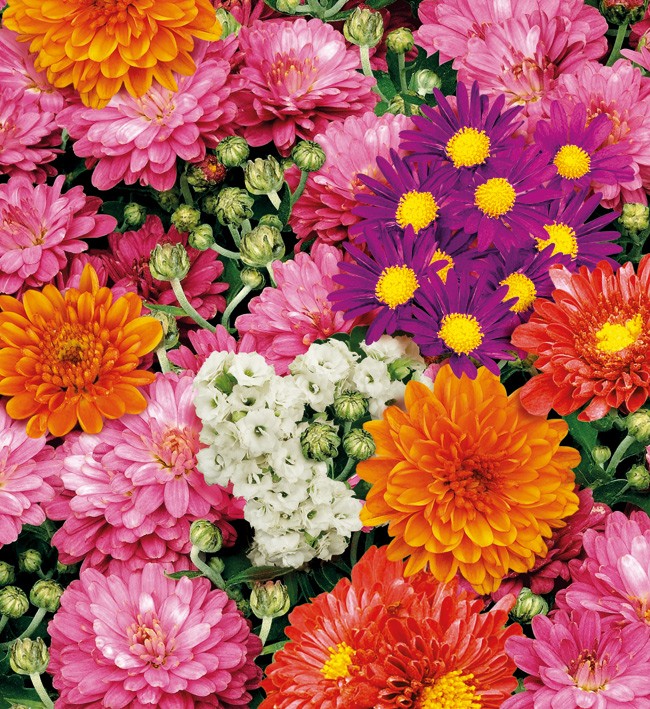 PVC Table Cloth Non - Woven - 4494