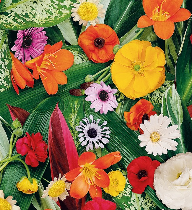 PVC Table Cloth Non - Woven - 4496