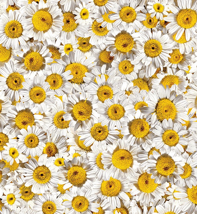 PVC Table Cloth Non - Woven - 4532