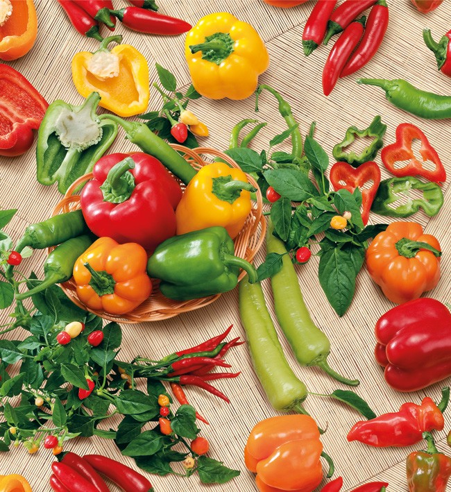 PVC Table Cloth Non - Woven - 4560