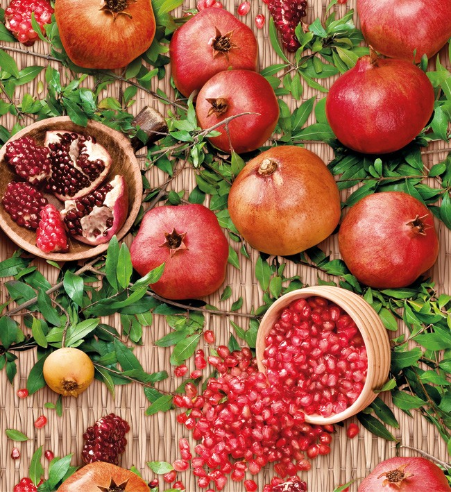 PVC Table Cloth Non - Woven - 4580