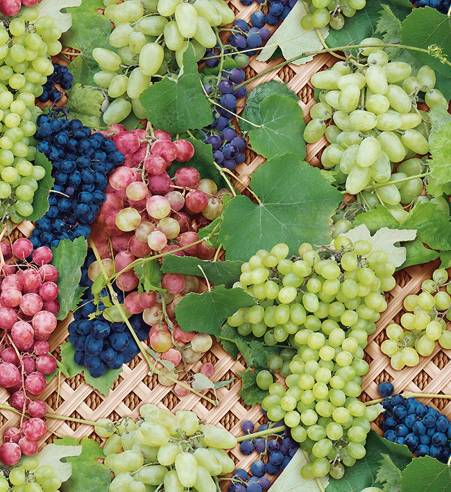 PVC Table Cloth Non - Woven - 4585