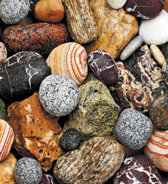 PVC Table Cloth Non - Woven - 9095