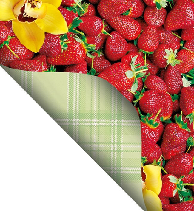 Double Side Printed  PVC Table Cloth - F0072