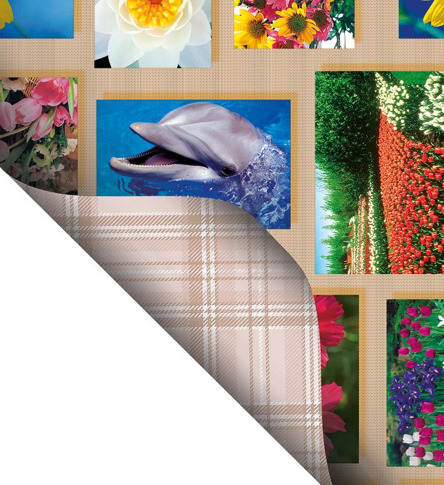 Double Side Printed  PVC Table Cloth - F0143