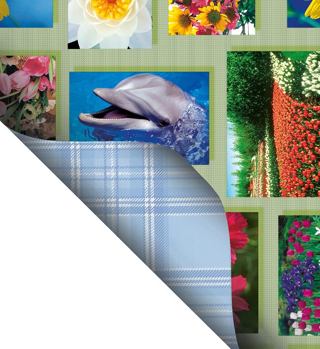 Double Side Printed  PVC Table Cloth - F0144