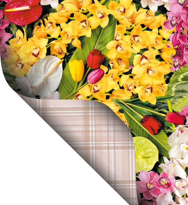 Double Side Printed  PVC Table Cloth - F4493