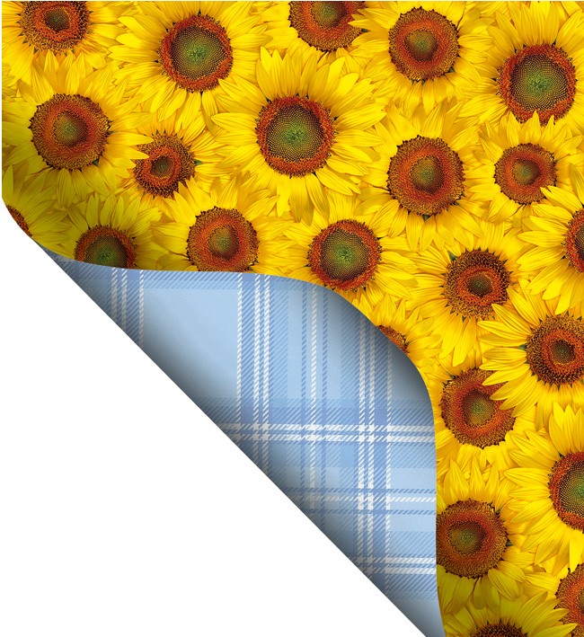 Double Side Printed  PVC Table Cloth - F4531